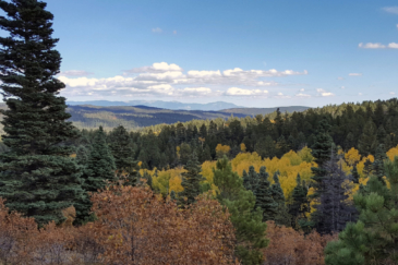 New Mexico Land for Sale Upper Montane Ranch