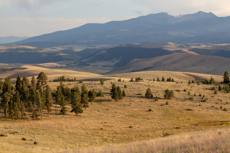 pastureacreagemontanabrockcreekranch Fay Ranches
