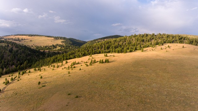 sunny pasture montana brock creek ranch