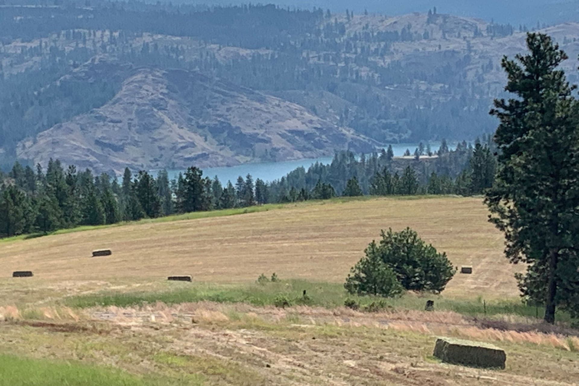 timber land for sale washington grandview ranch Fay Ranches