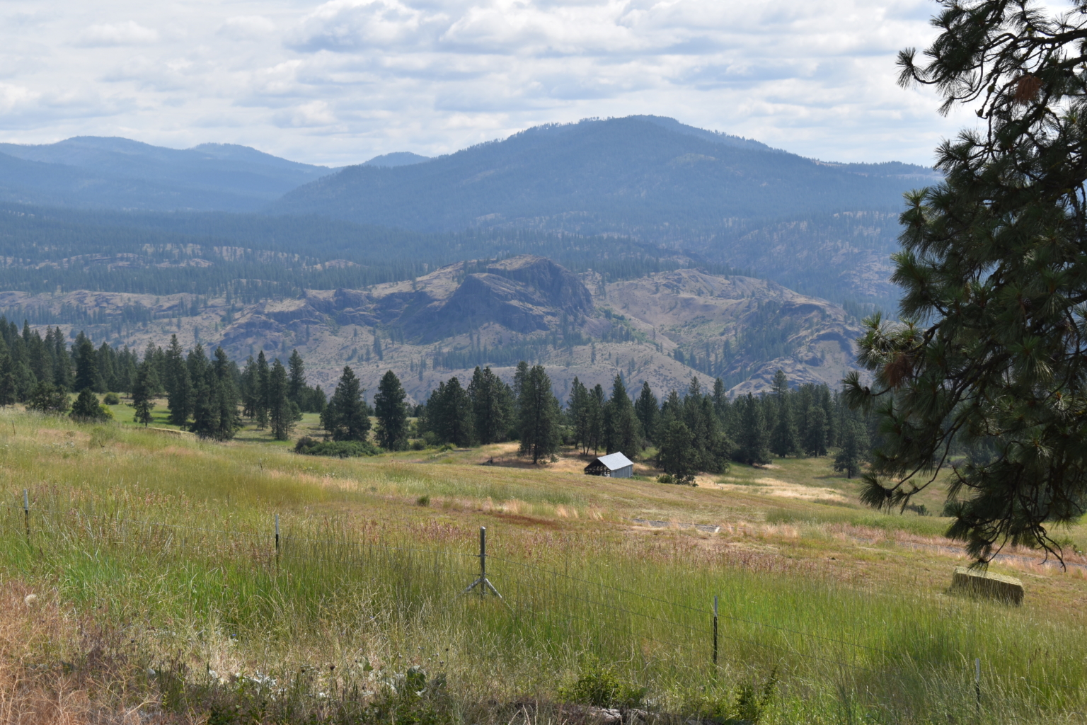 Grandview Ranch Davenport Washington Fay Ranches