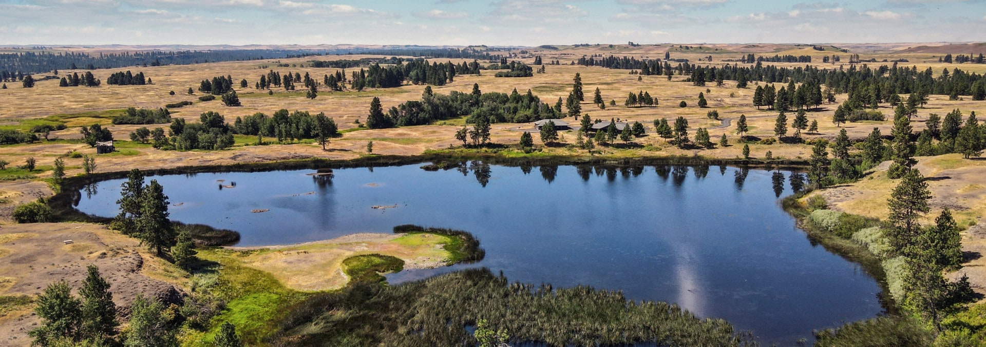 Johnson Lake Ranch Cheney Washington Fay Ranches