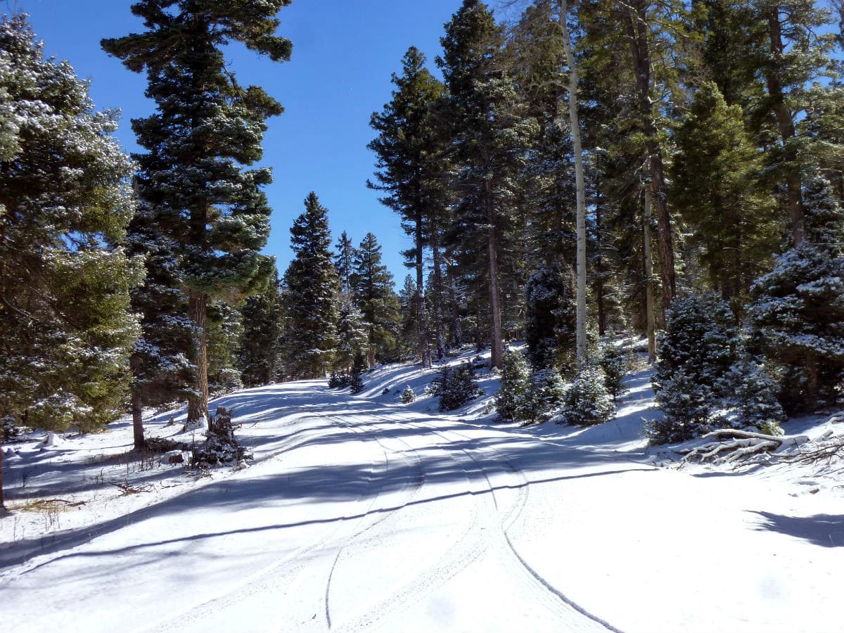 winter recreation New Mexico Upper Montane Ranch