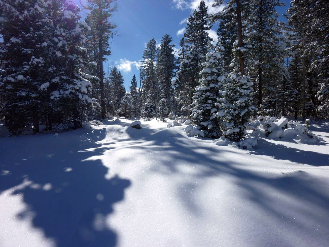 winter recreation retreat New Mexico Upper Montane Ranch