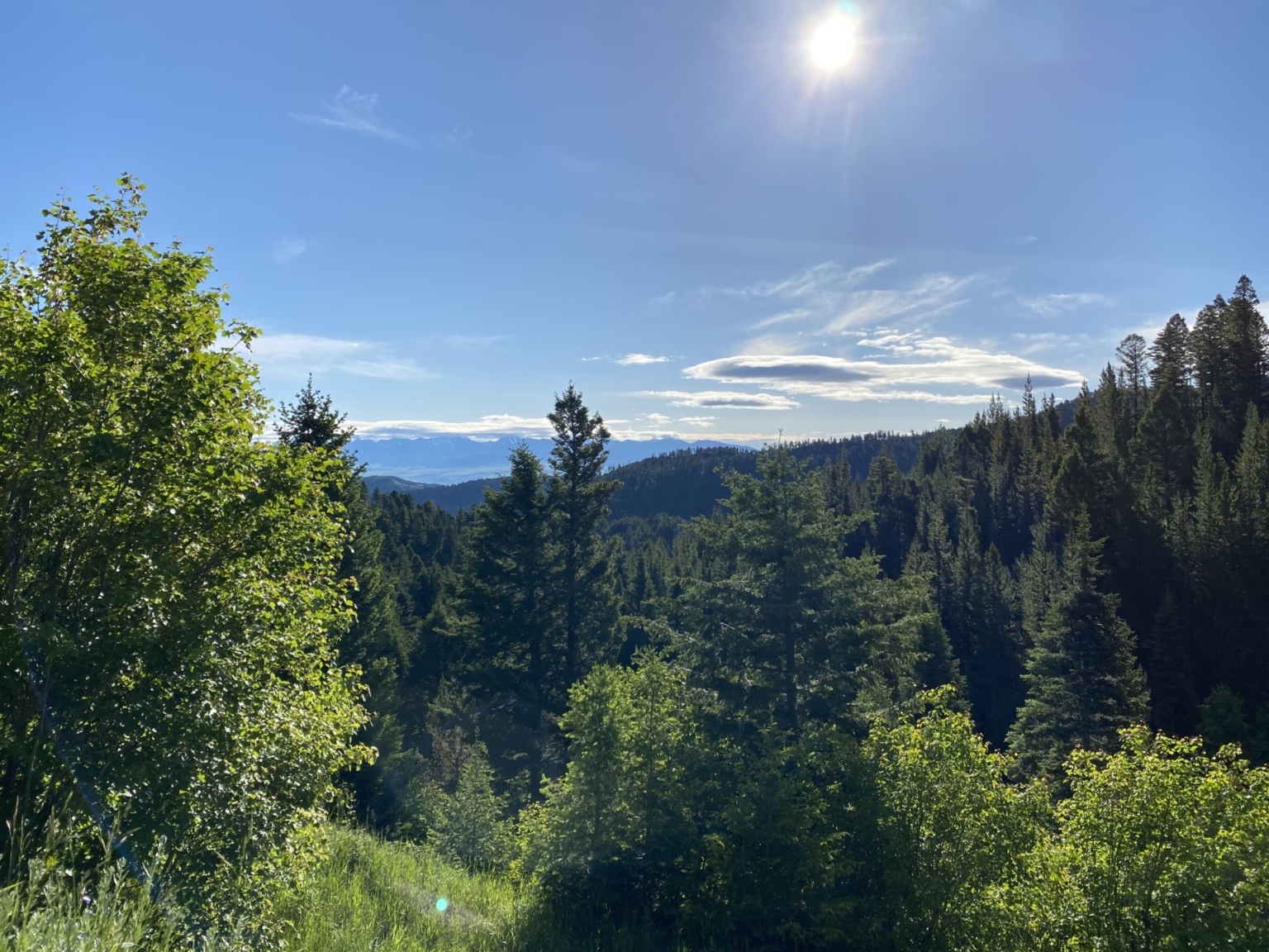 bangtailmountainhighlandsbozemanmontanahuntingranch Fay Ranches