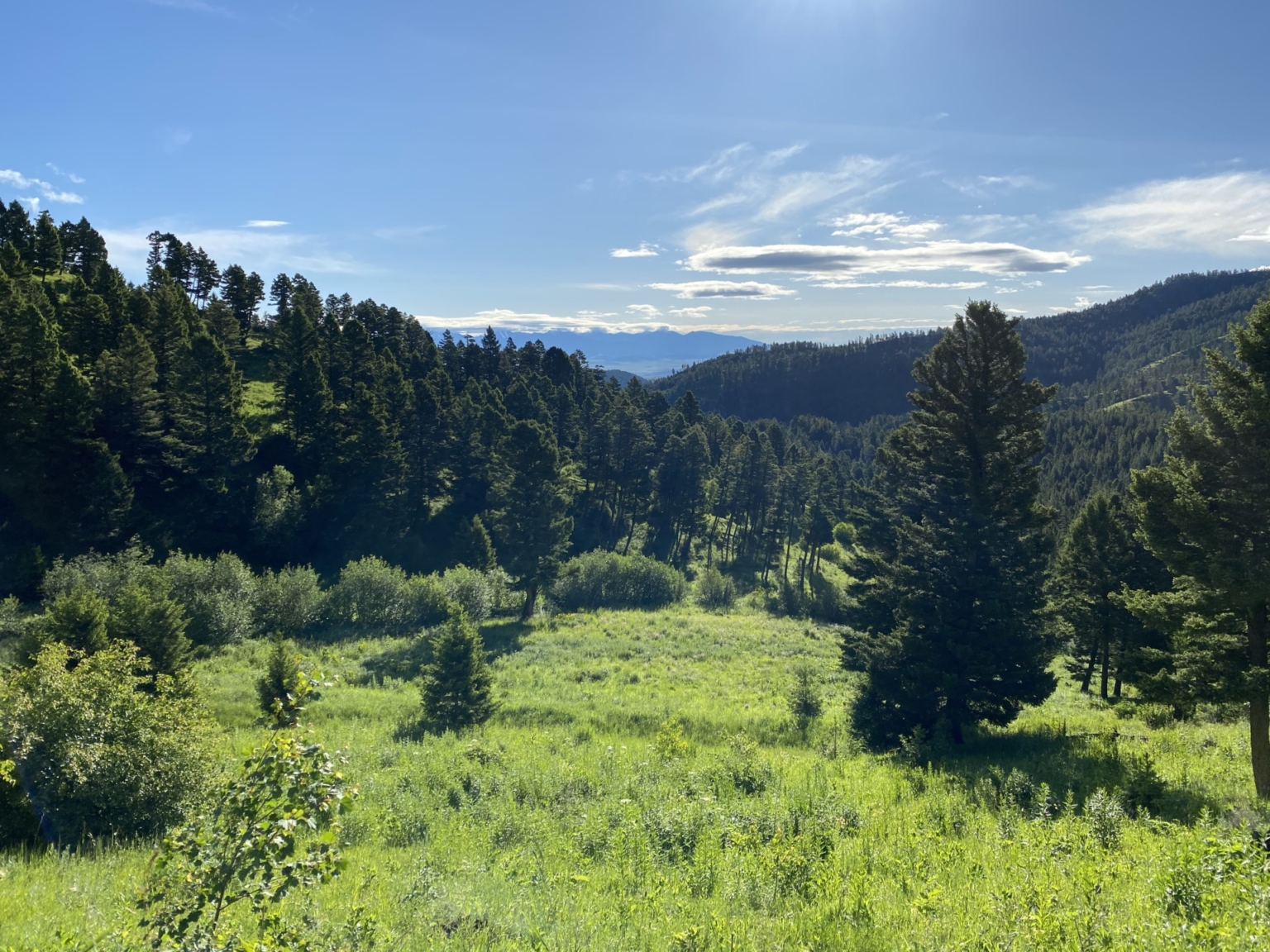 bangtailmountainhighlandsbozemanmontanaranchforsale Fay Ranches
