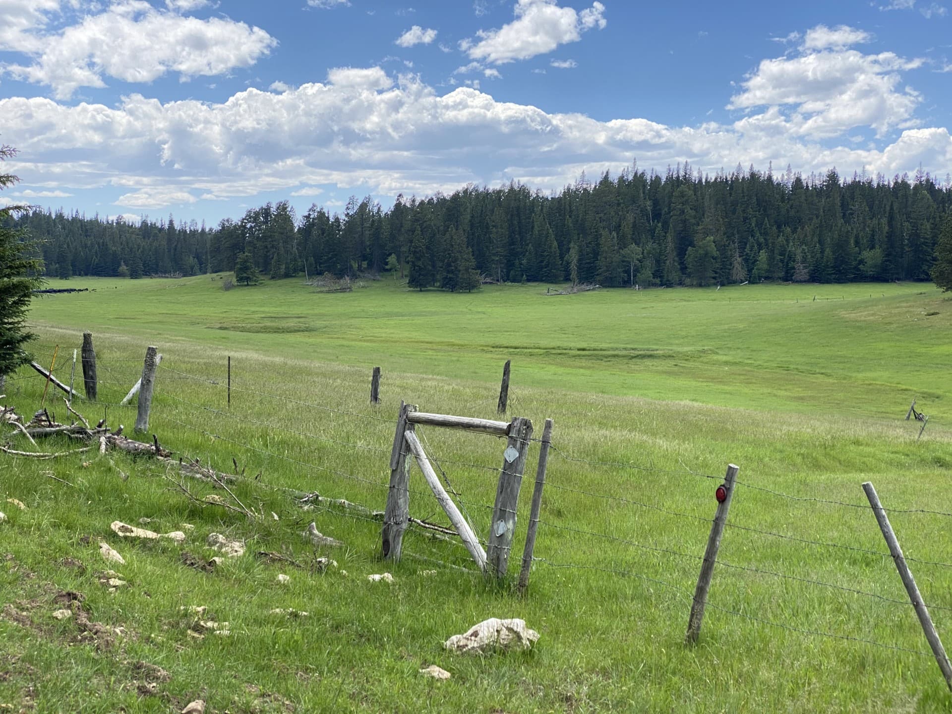 cattle land for sale south dakota boles canyon ranch