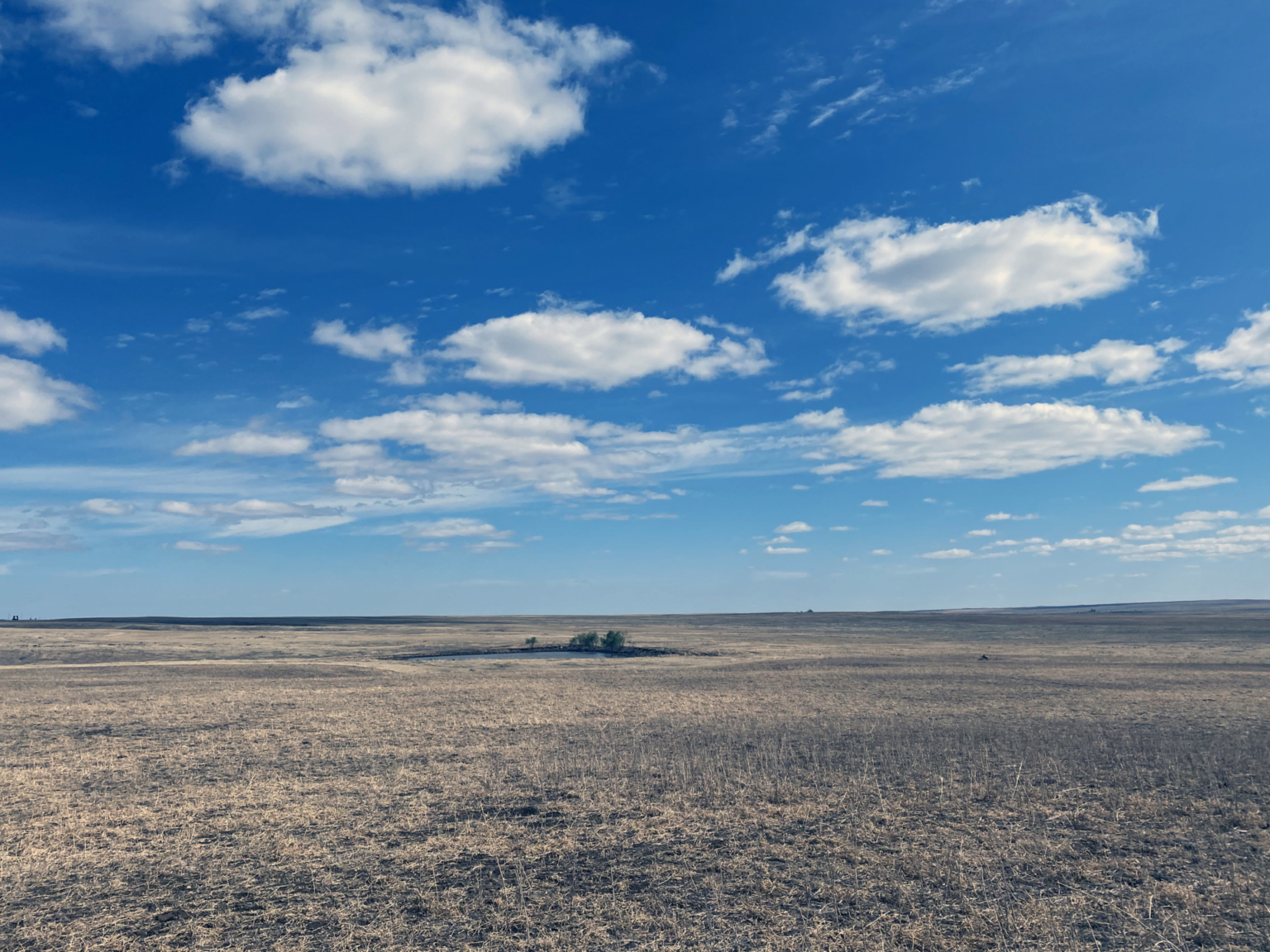 High Line Organic Wheat Farm Dodson Montana Fay Ranches