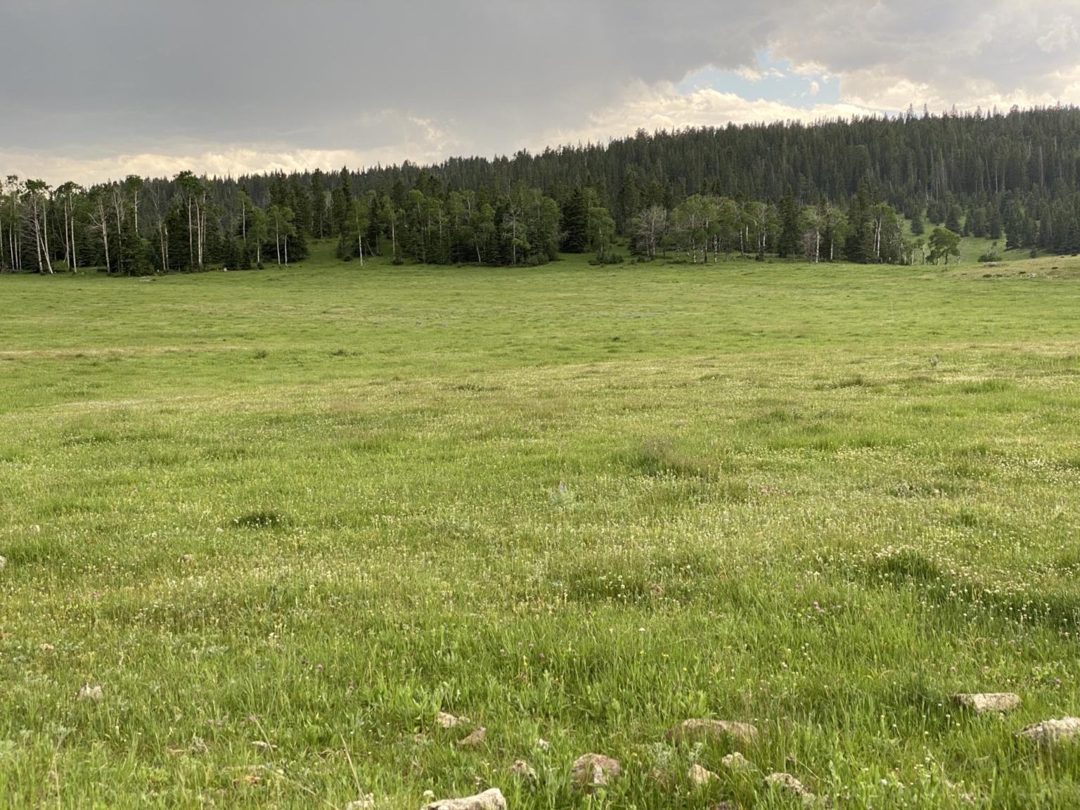 grazing land south dakota boles canyon ranch Fay Ranches