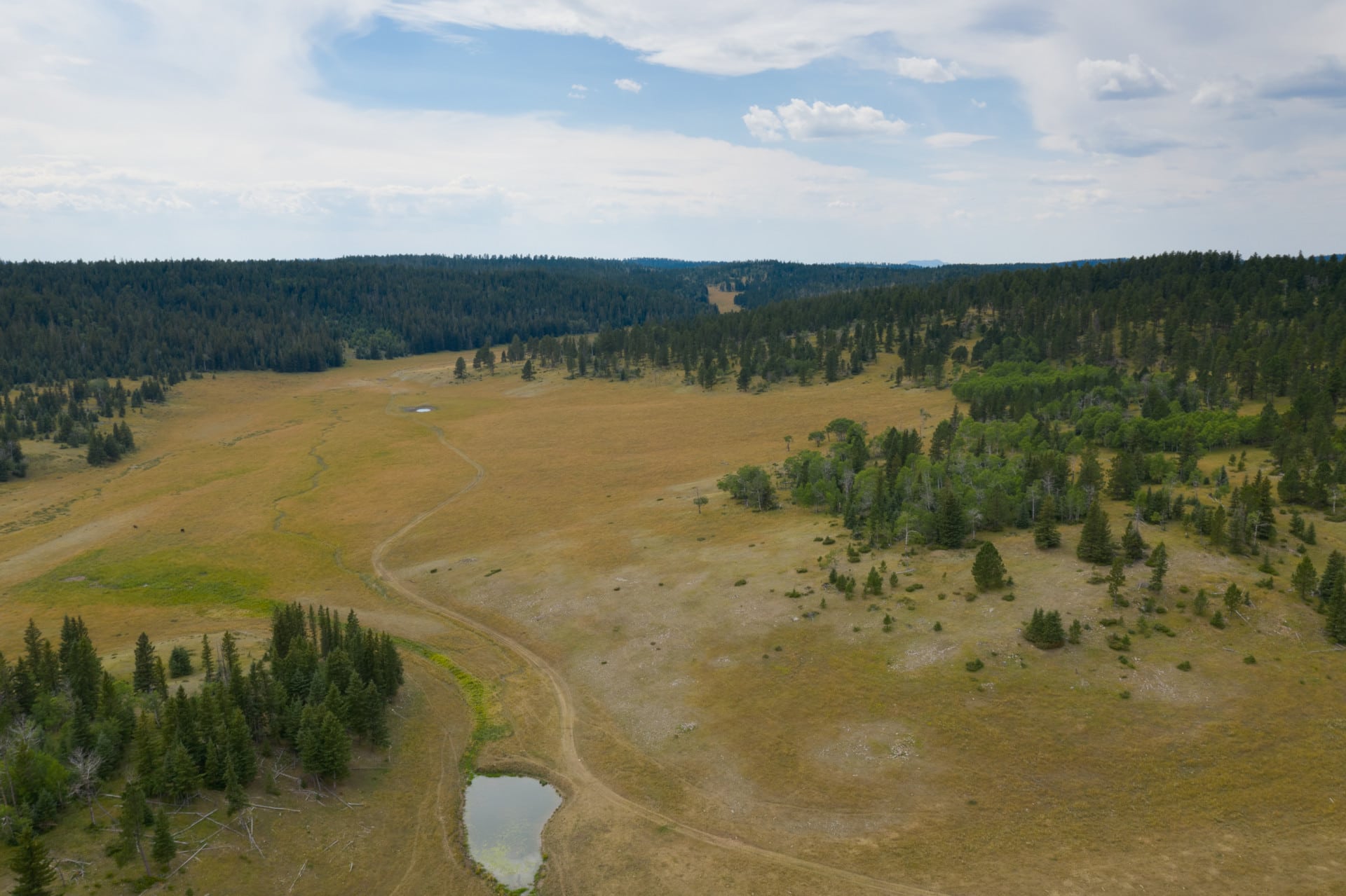 meadows aerial south dakota boles canyon ranch