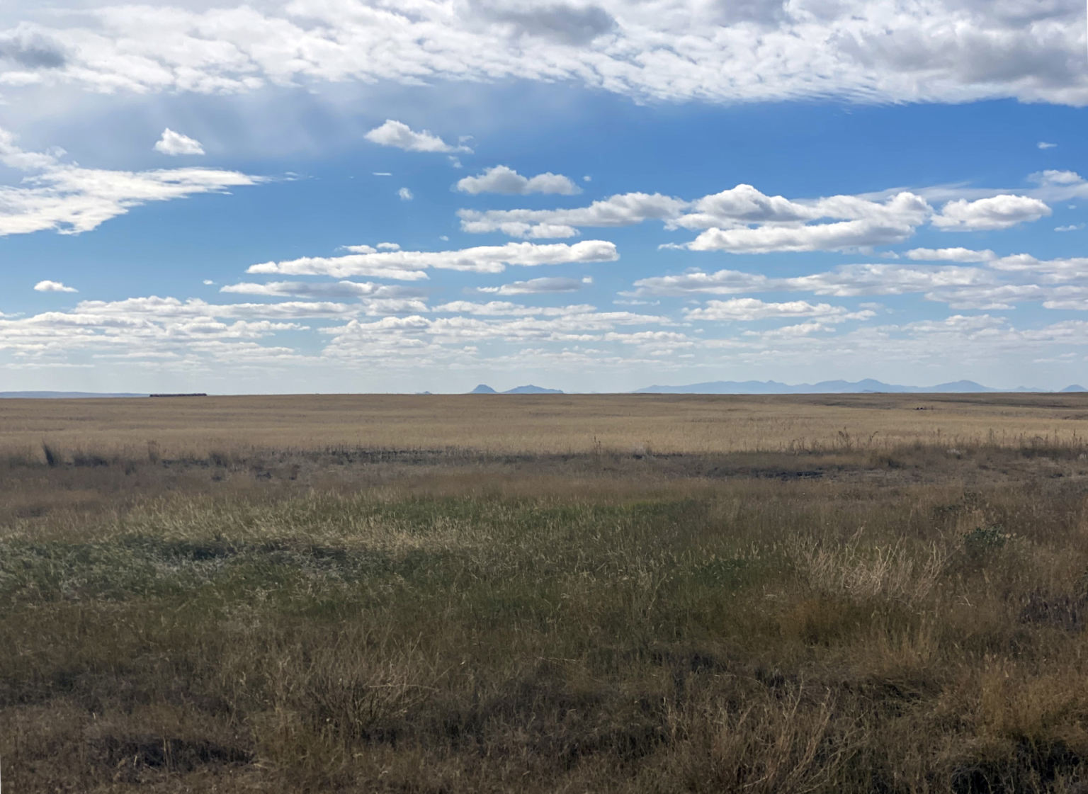 High Line Organic Wheat Farm Dodson Montana Fay Ranches