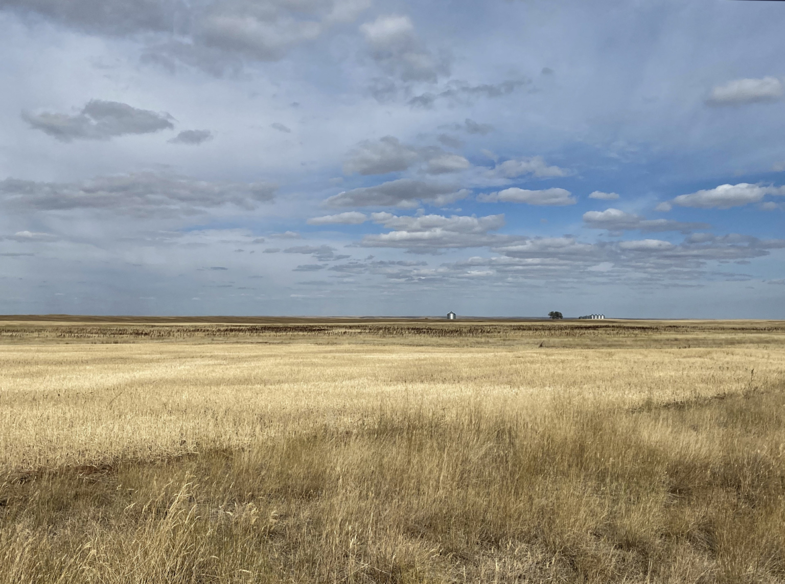 High Line Organic Wheat Farm Dodson Montana Fay Ranches