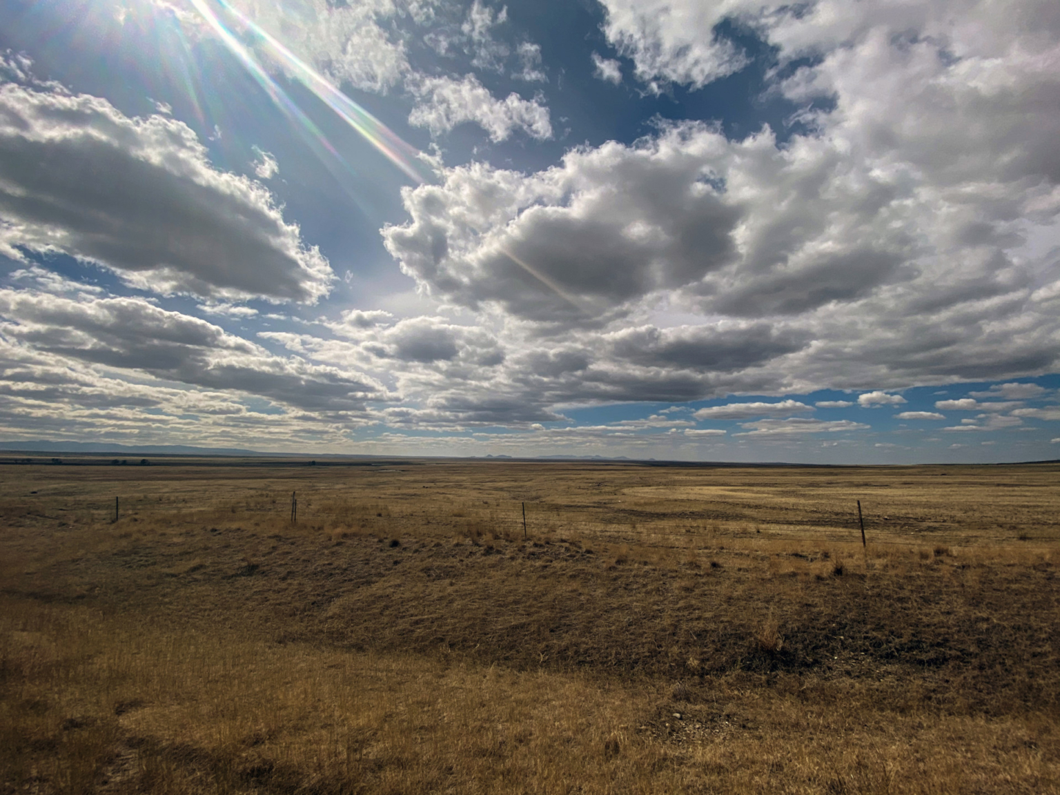 High Line Organic Wheat Farm | Dodson Montana | Fay Ranches