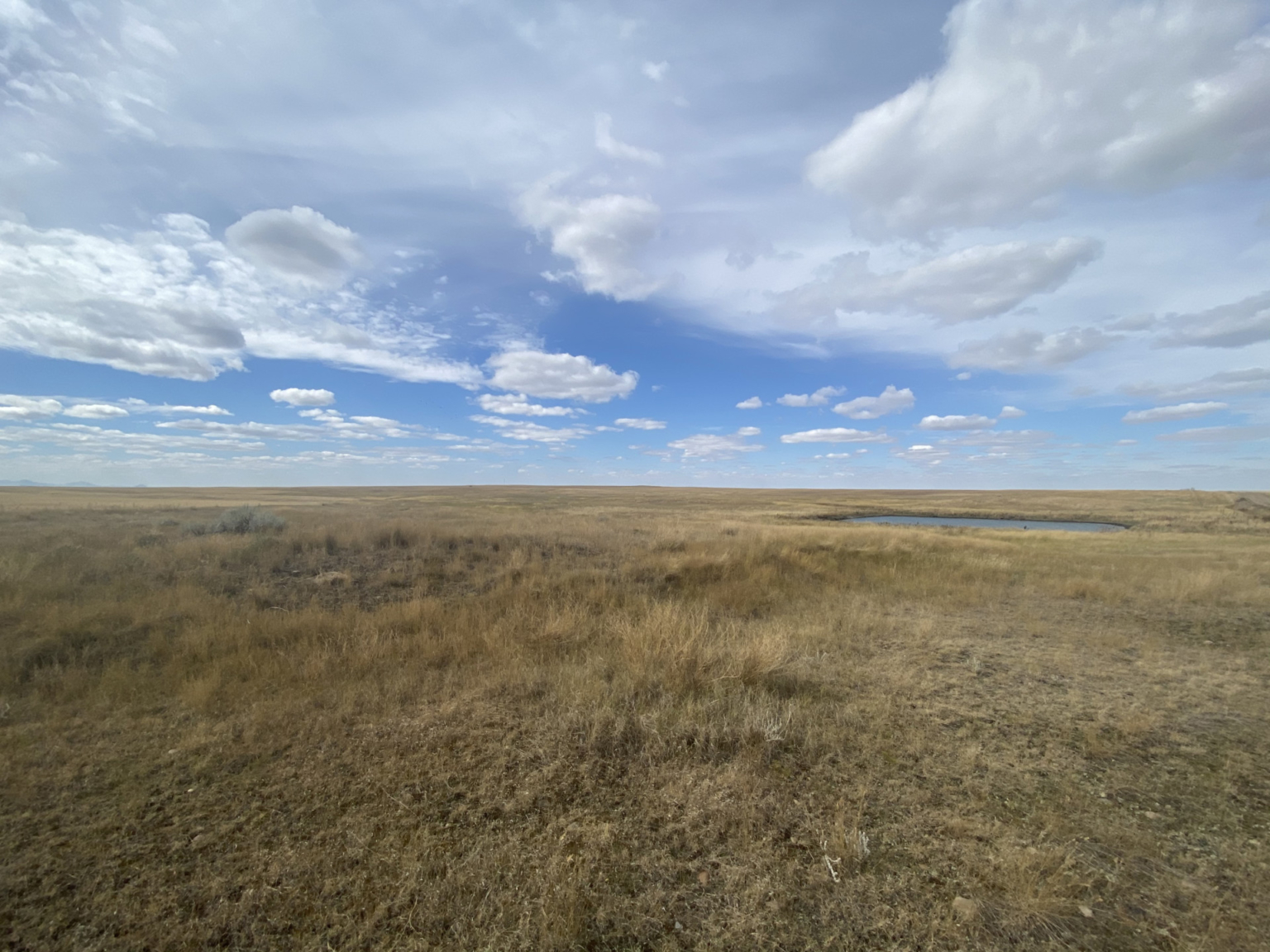 High Line Organic Wheat Farm Dodson Montana Fay Ranches