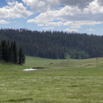 south dakota mountain ranch land for sale boles canyon ranch