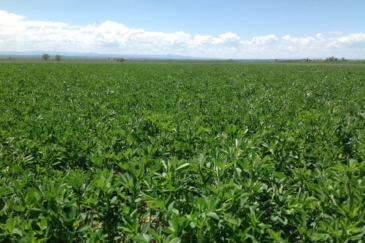 agricultural production land for sale south dakota northen plains grassland cattle ranch