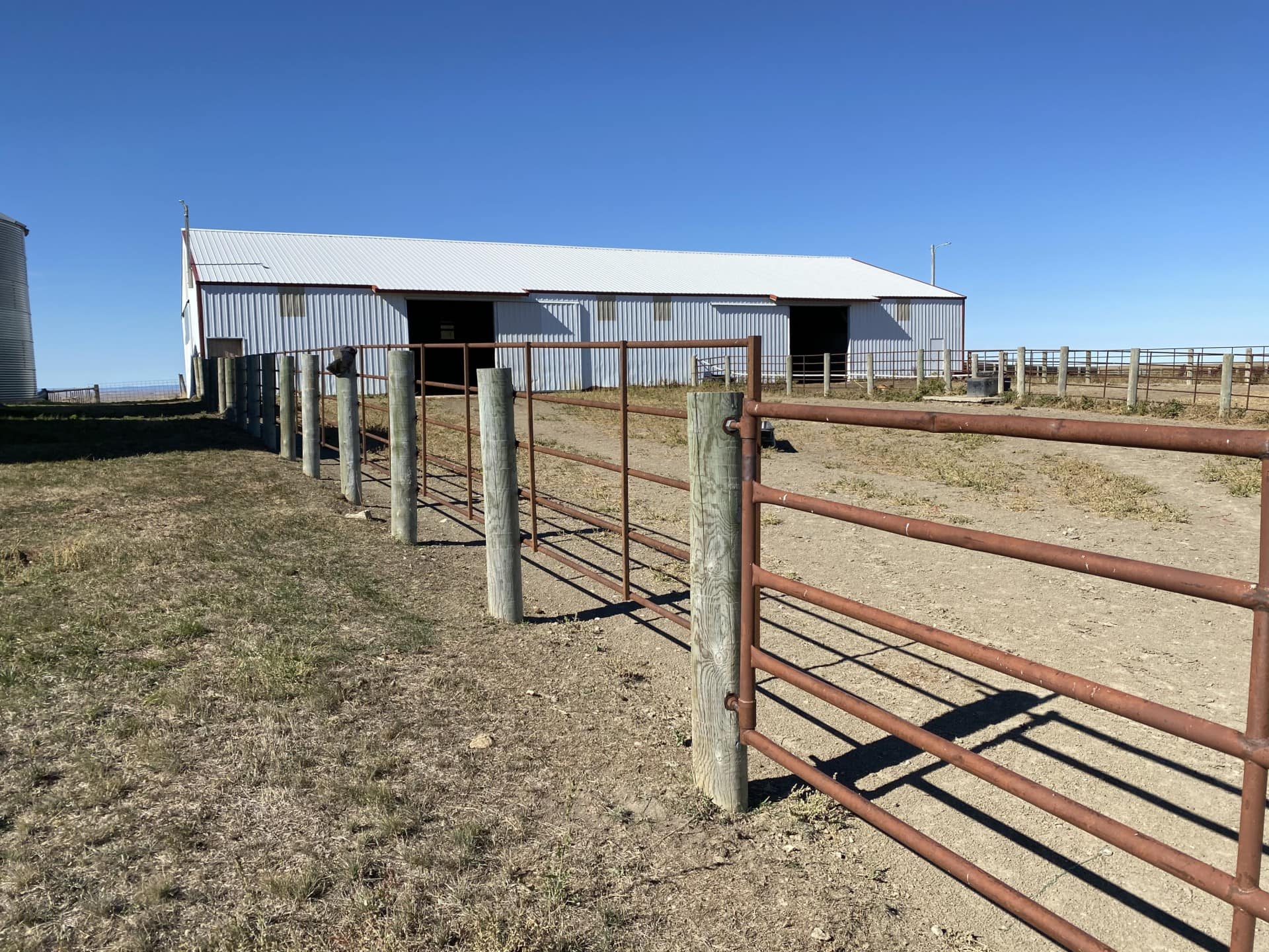 barn cattle pens south dakota northern plains grassland cattle ranch