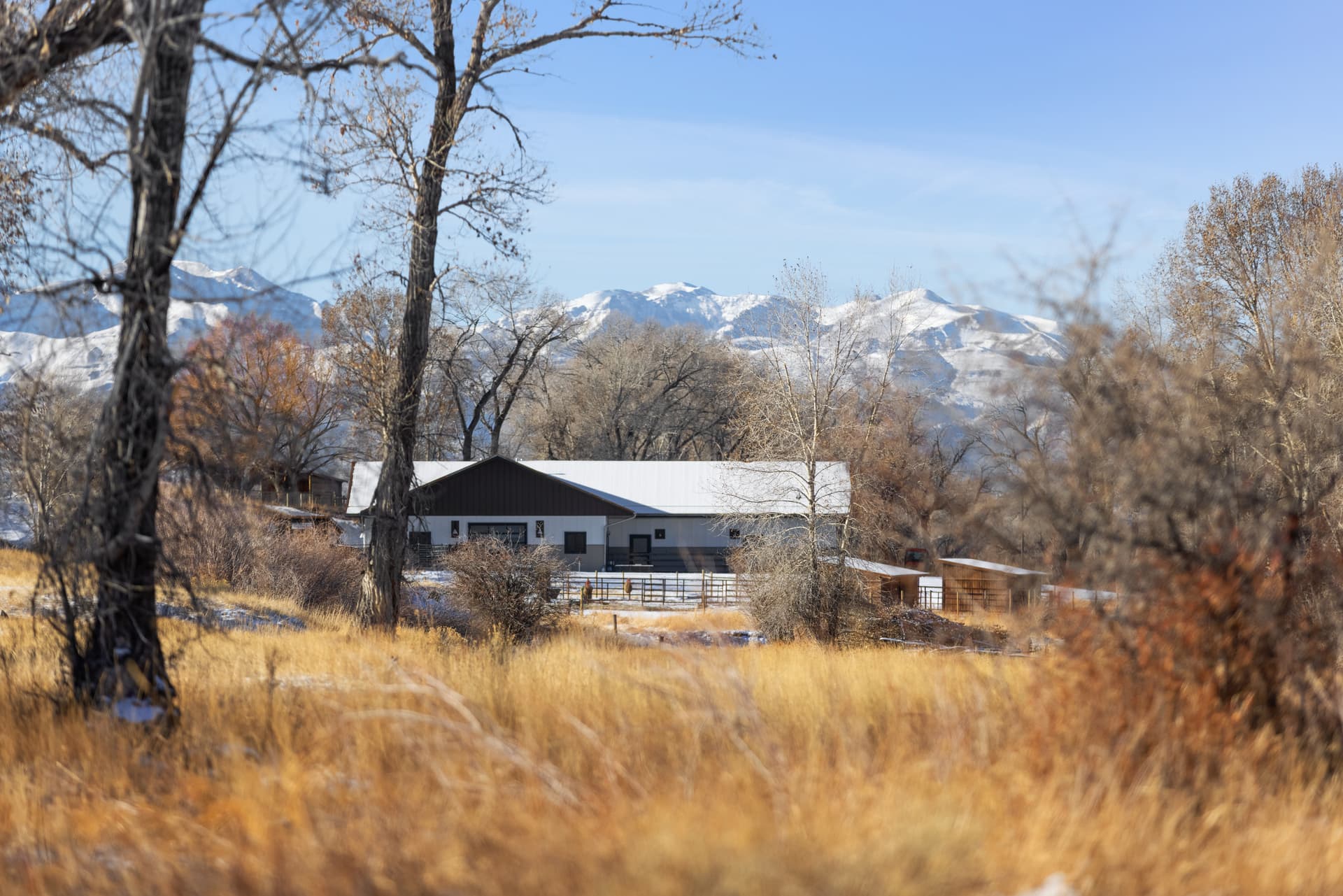 Rooted on the River Ranch Meeteetse Wyoming Fay Ranches