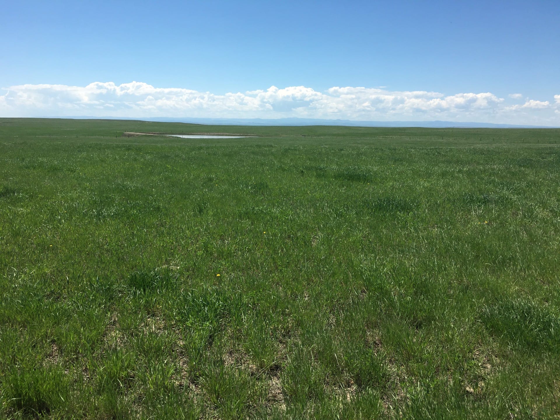 equestrian property for sale south dakota northern plains grassland cattle ranch