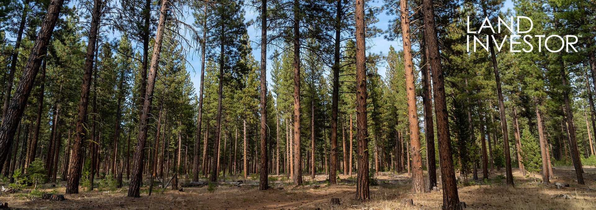 Forestlands-the Ultimate ESG Investment-Troy Dana-Oregon