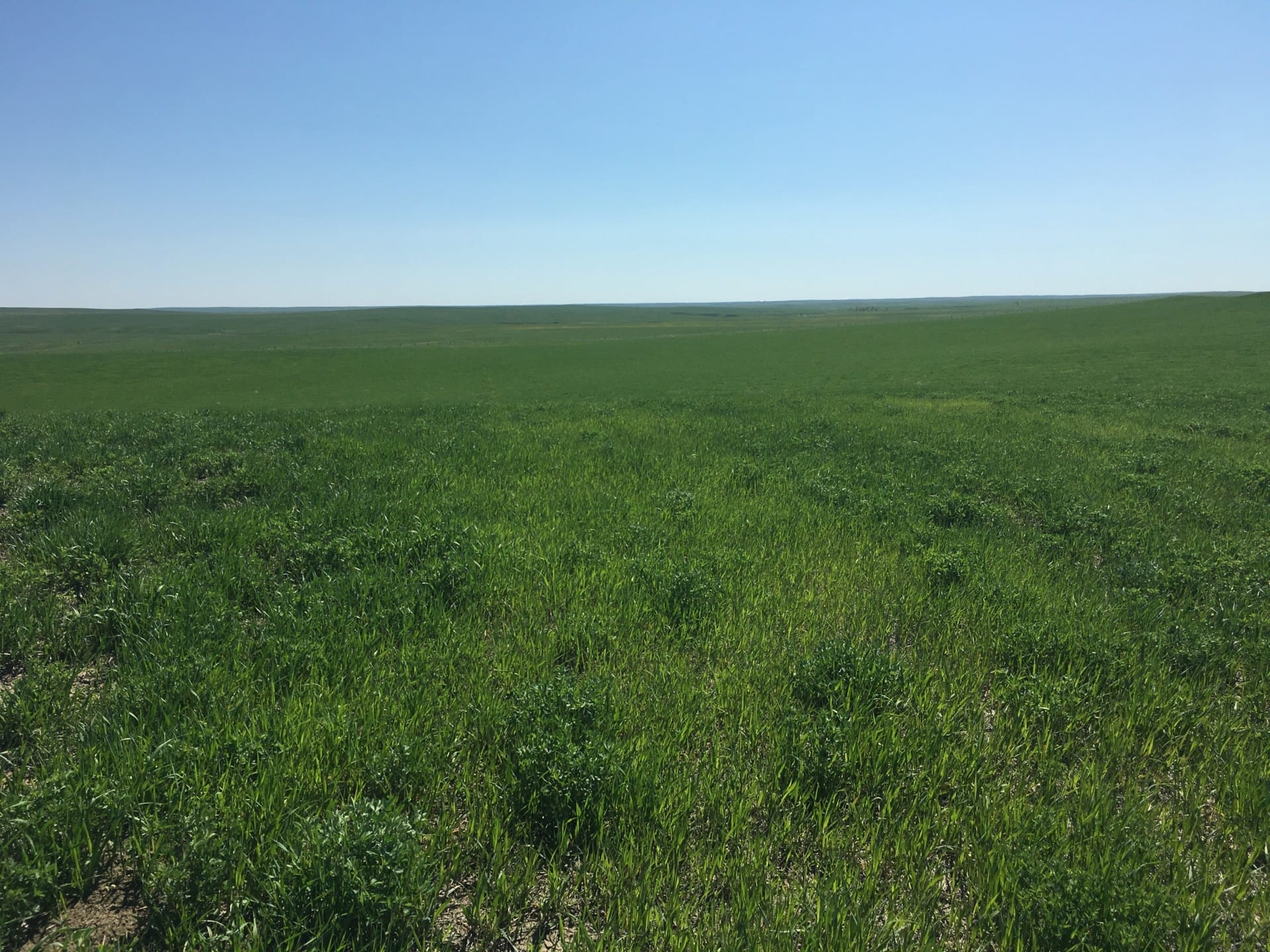 grassland south dakota northern plains ranch