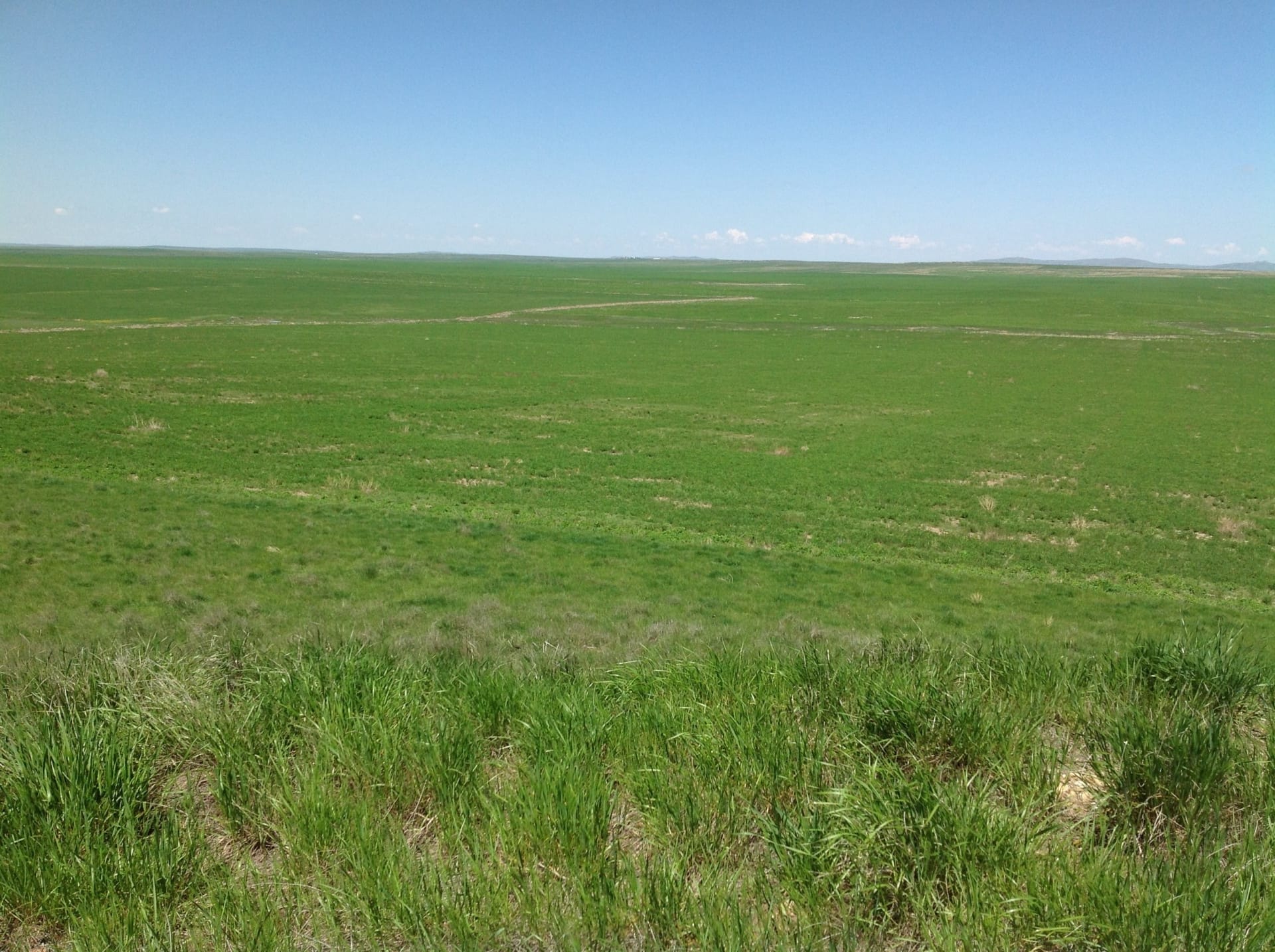 hay land south dakota northern plains ranch