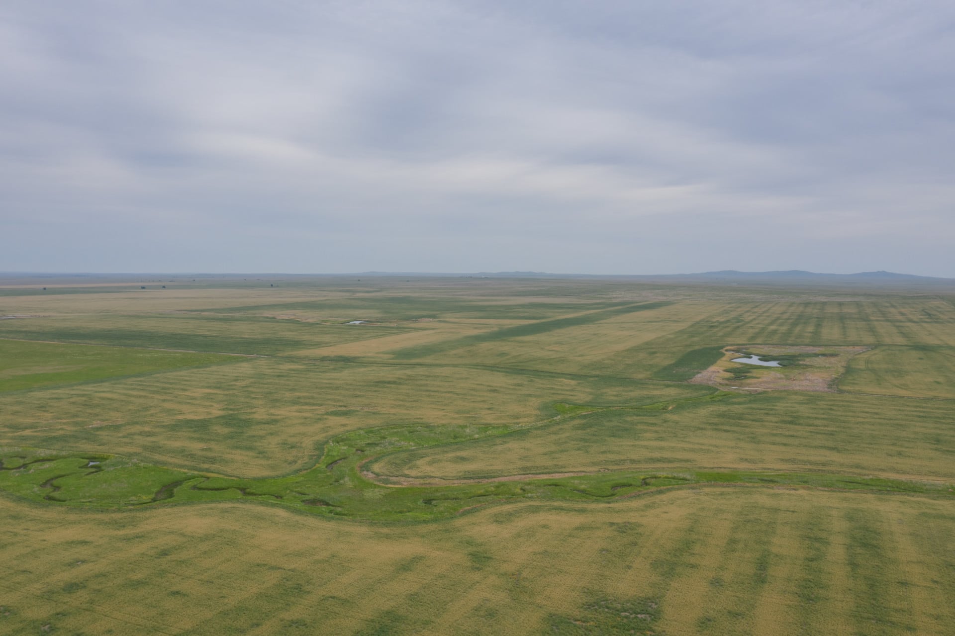 hay production south dakota northern plains grassland cattle ranch