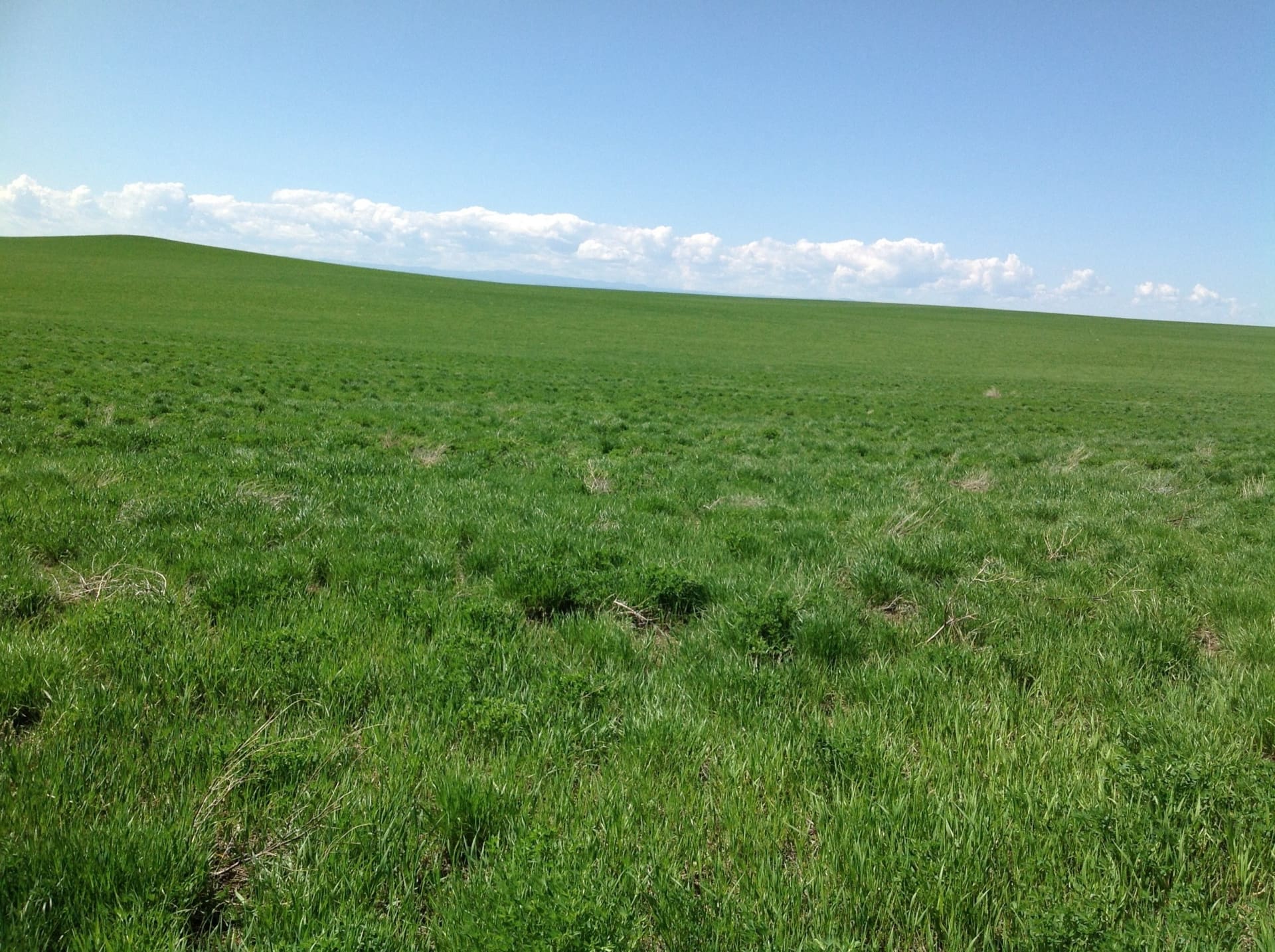 hayland south dakota northern plains ranch