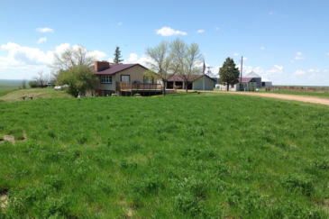 land with homes for sale south dakota northern plains grassland and cattle ranch
