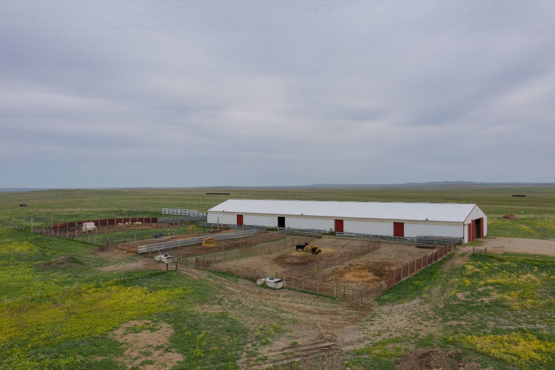 livestock barn south dakota northern plains grassland cattle ranch