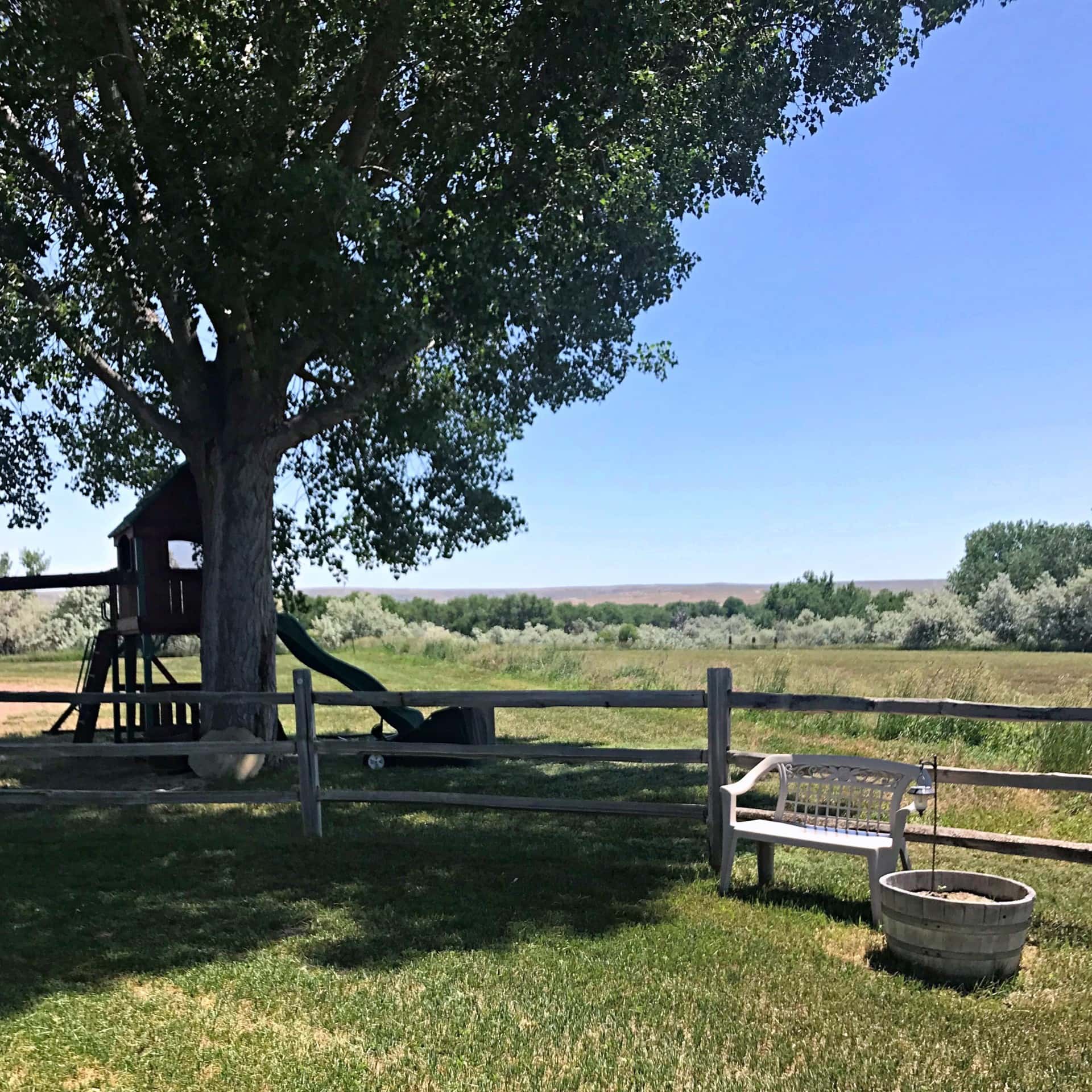 mature tree front yard wyoming powder river valley homestead