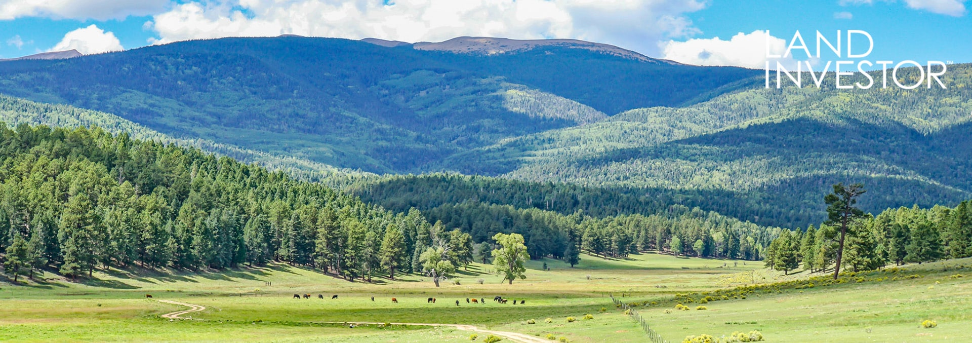 Purchasing a Ranch in New Mexico-New Mexico-Rik Thompson