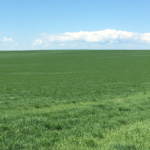 south dakota property for sale northern plains ranch