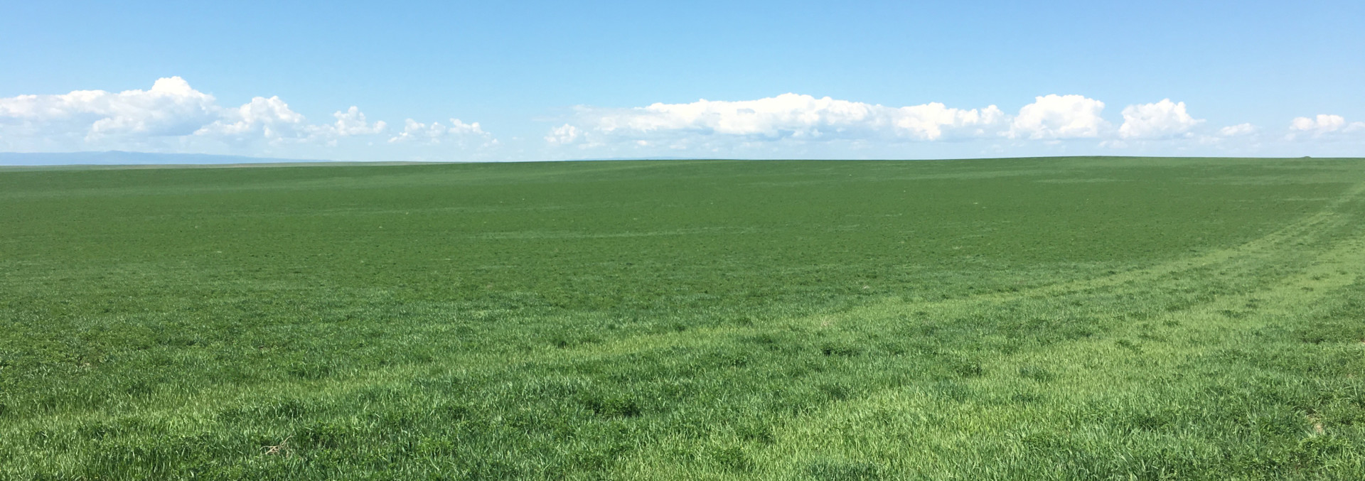south dakota property for sale northern plains ranch