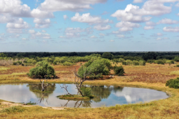 texas hunting ranch for sale palomas ranch