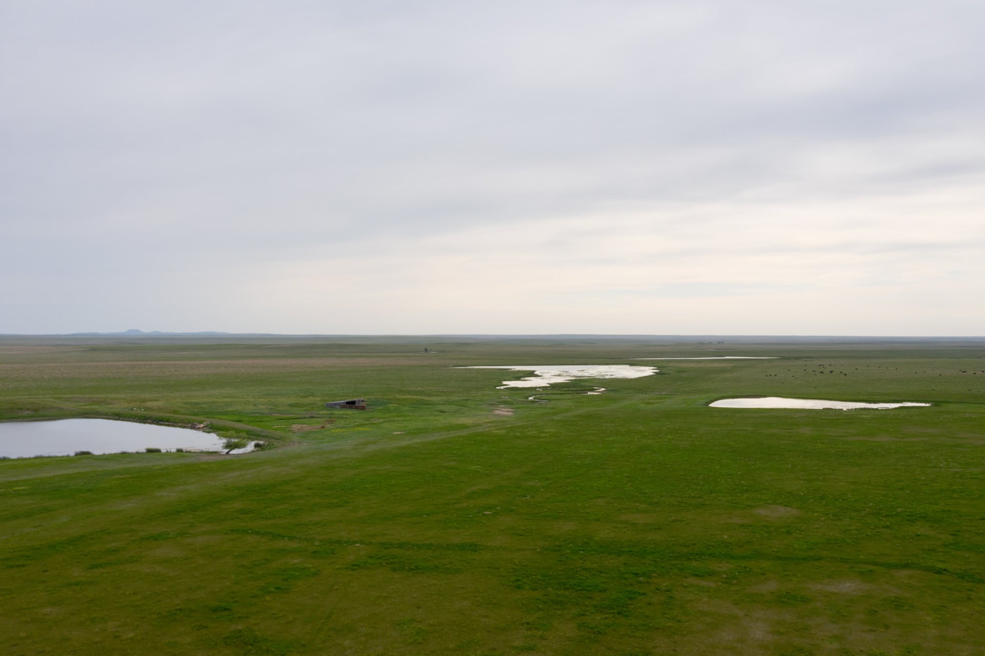 water sources south dakota northern plains grassland cattle ranch