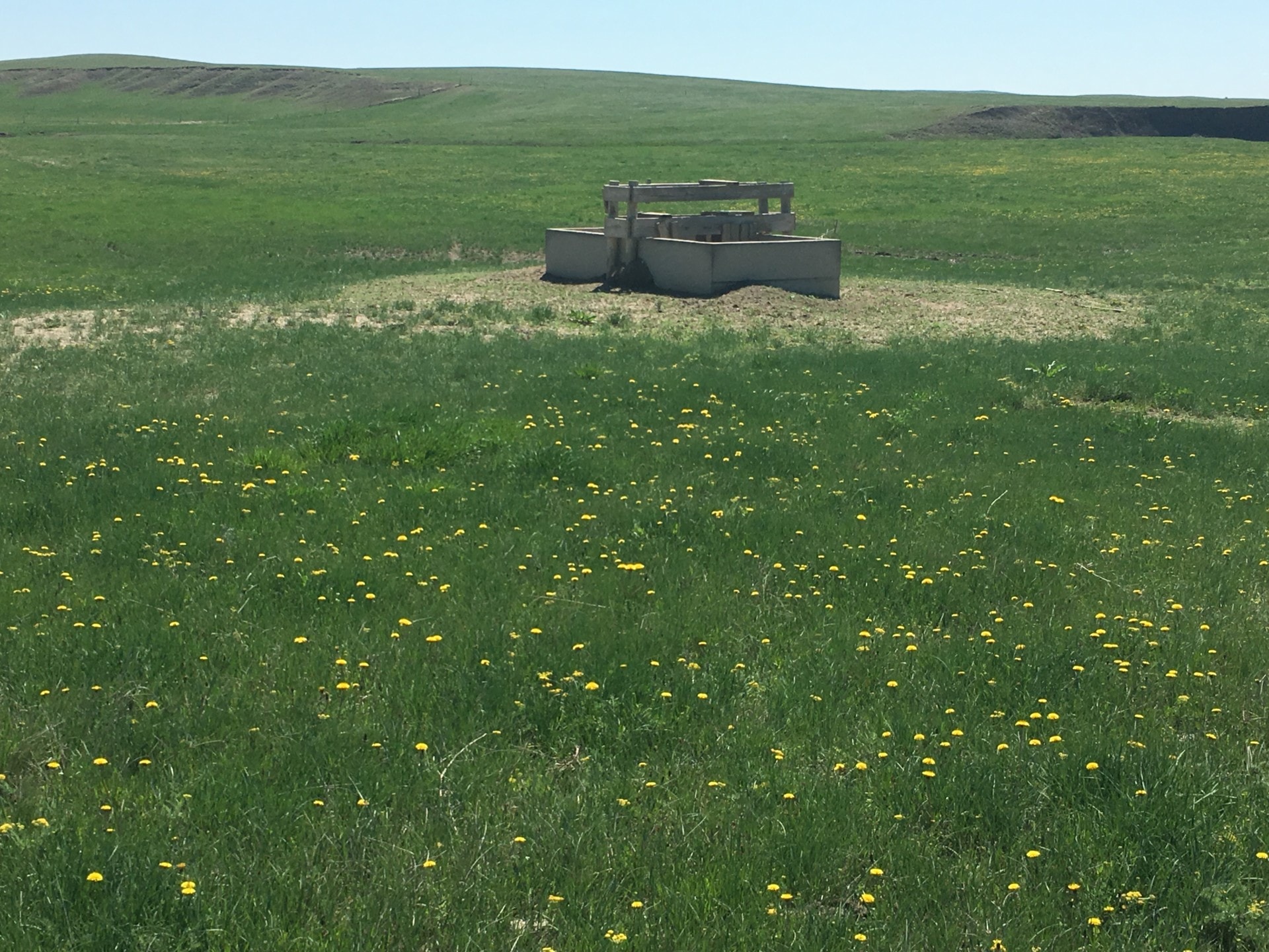 watering station south dakota northern plains grassland cattle ranch