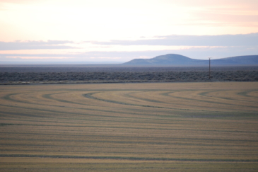 farms for sale oregon prince farm