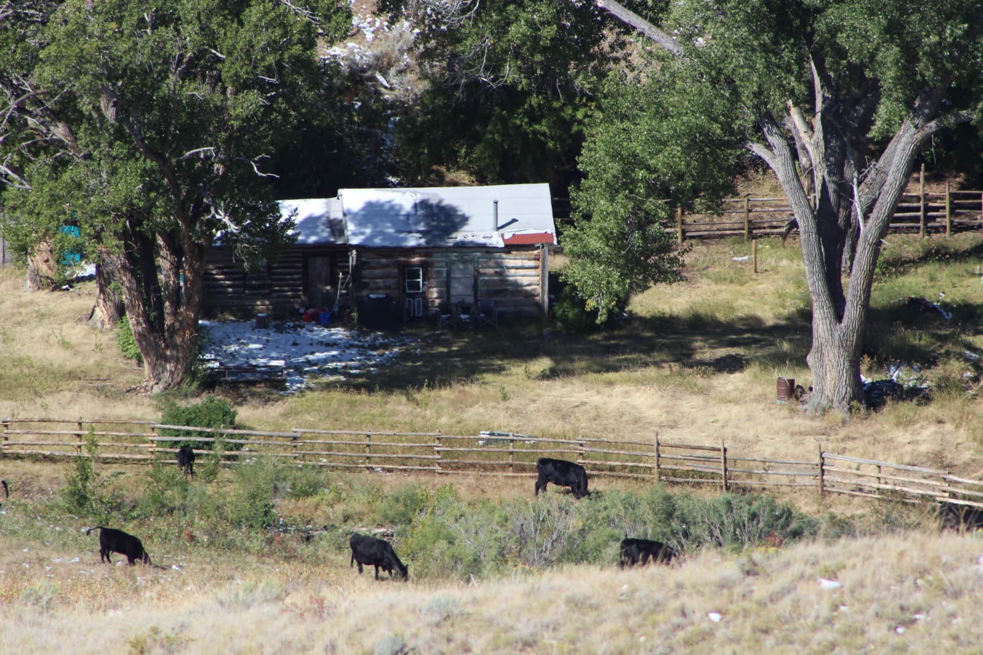 homestead cabin montana pryor mountains outlaw ranch