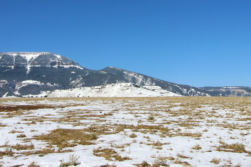 montana ranch for sale pryor mountains outlaw ranch