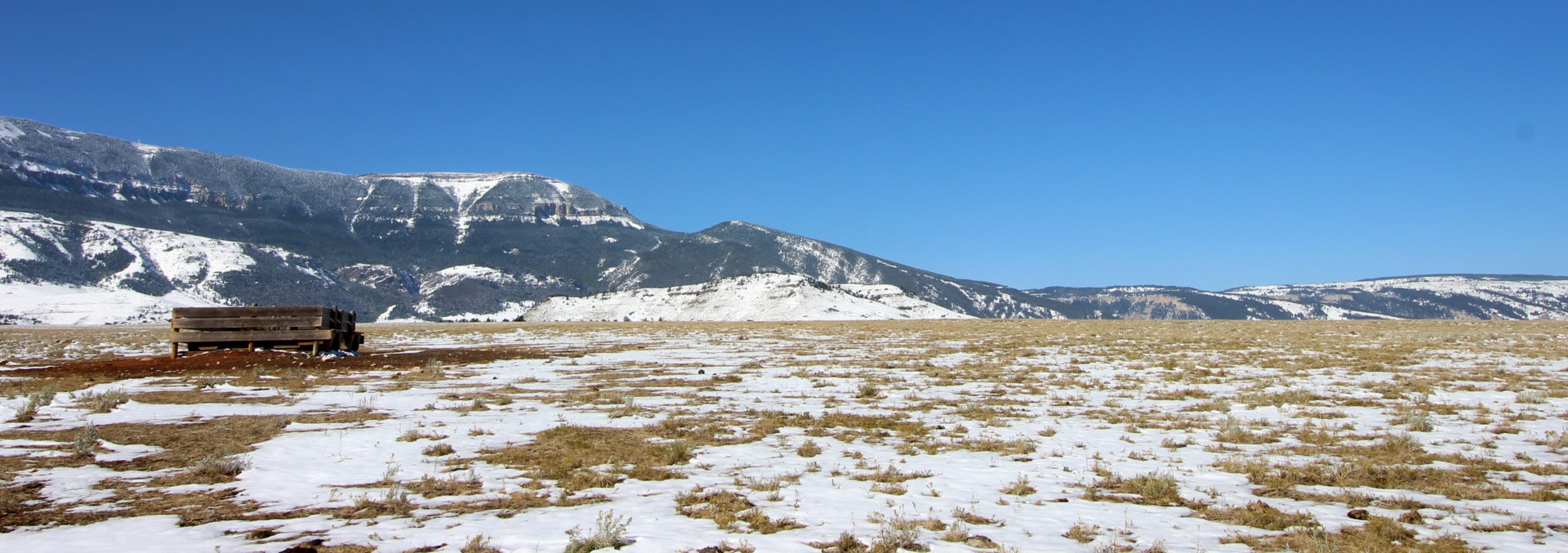 Pryor Mountain's Outlaw Ranch Bridger Montana Fay Ranches