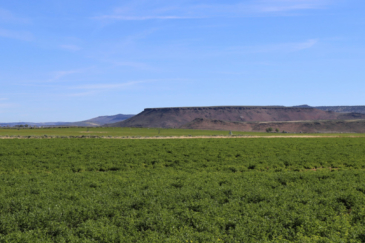 oregon property for sale prince farm