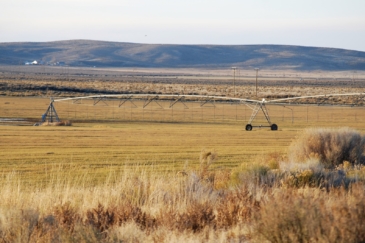 pivot hay view oregon prince farms