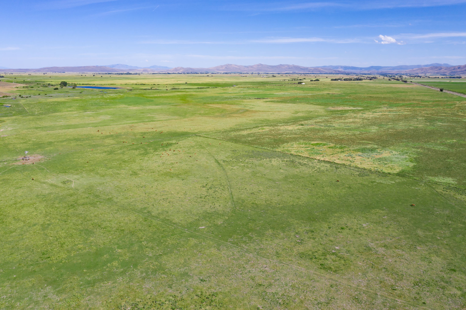 Chandler Hereford Ranch North Unit Oregon Fay Ranches