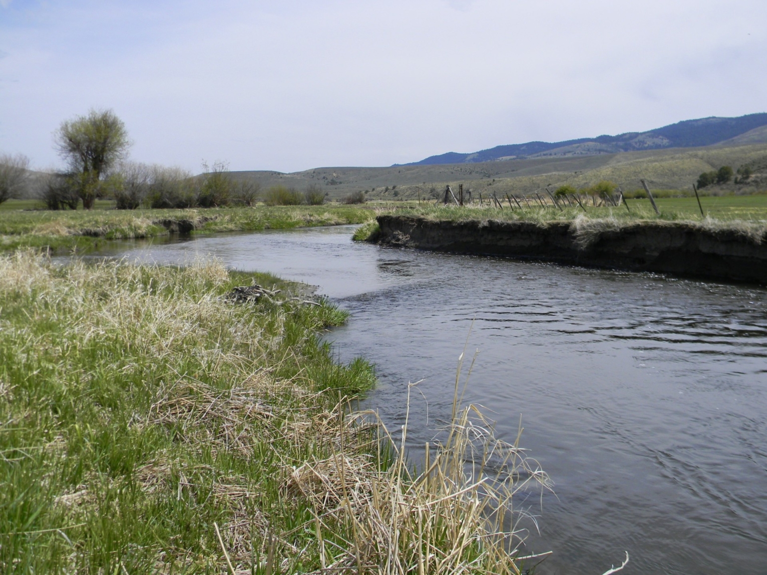Hereford Burnt River Ranch Hereford Oregon Fay Ranches