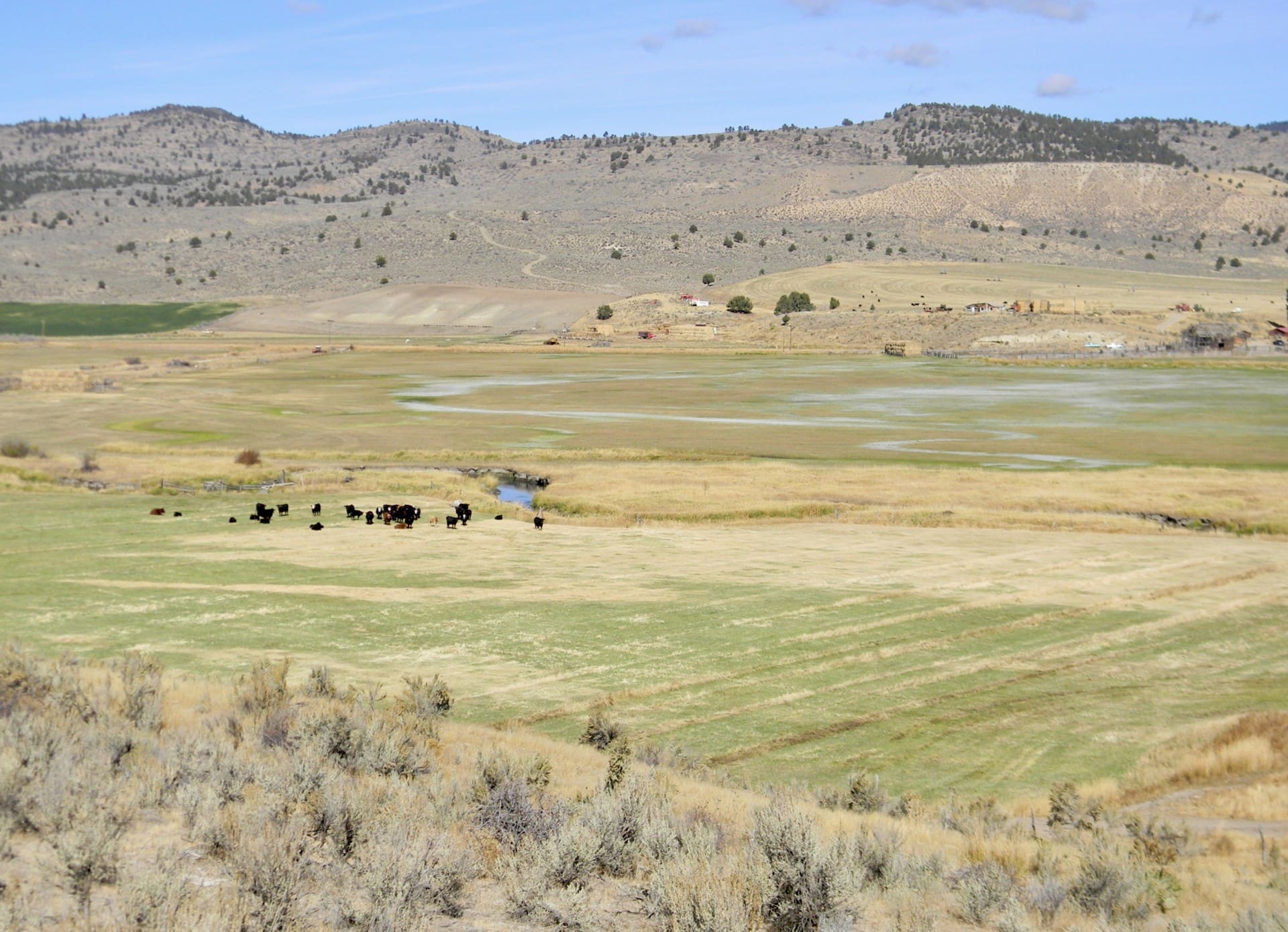 Flooded Pastures Oregon Ranch
