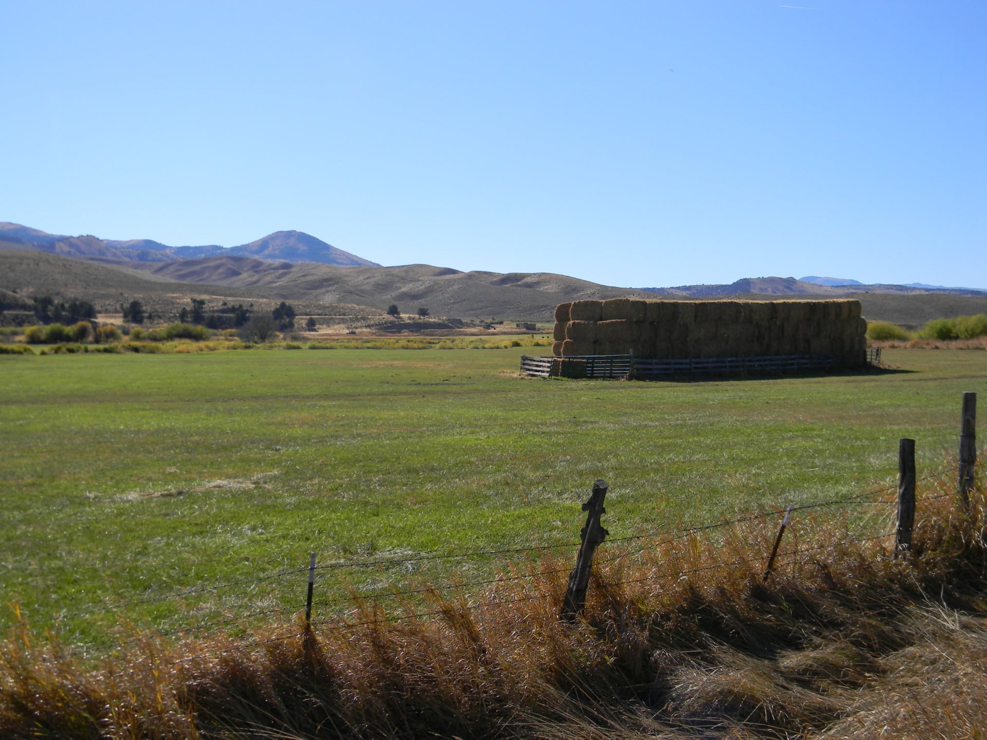 Hay Fields Flood Irrigated Oregon Ranch