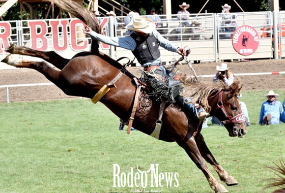 jack bentz eastern oregon ranch sales agent rodeo news