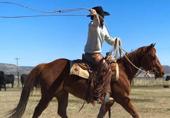jack bentz eastern oregon ranch sales agent roping on horse