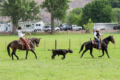 jack bentz eastern oregon ranch sales agent two roping calf on horseback
